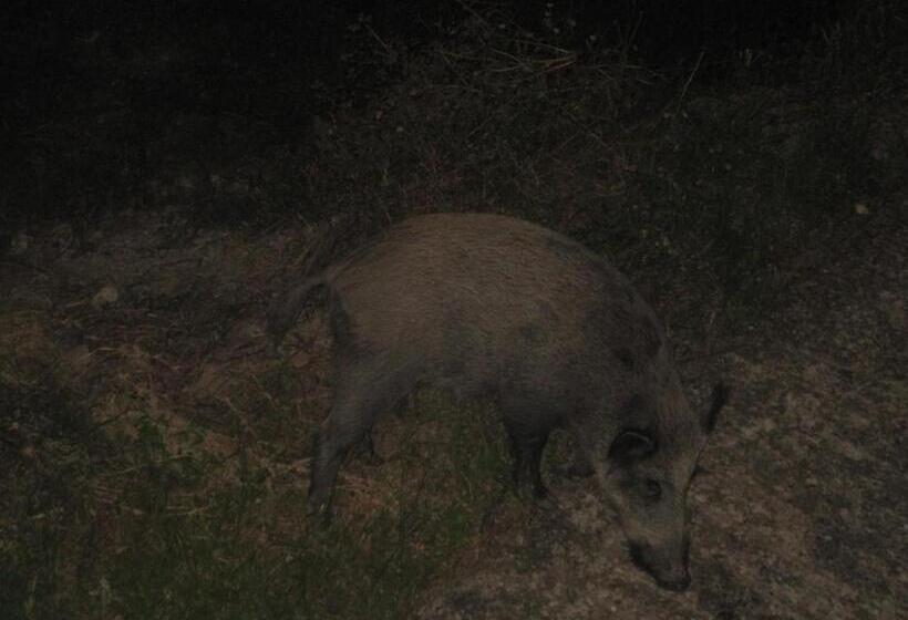 ベッドアンドブレックファースト Locanda La Corte