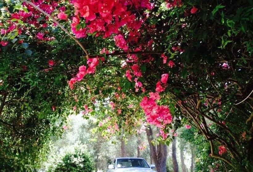 تختخواب و صبحانه Villa Dei Pini
