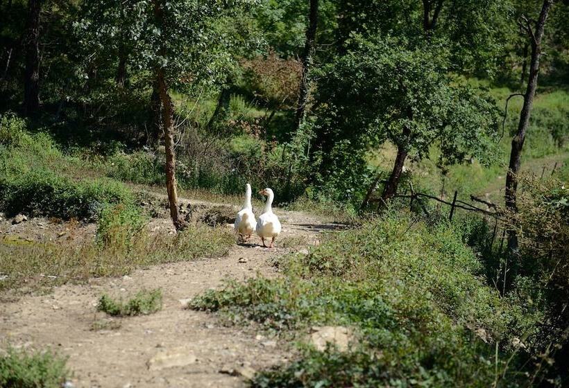 فندق ريفى Agriturismo Le Cerinaie