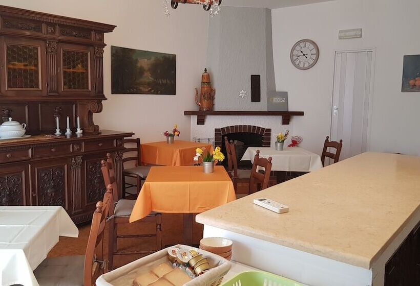B&b Mimosa