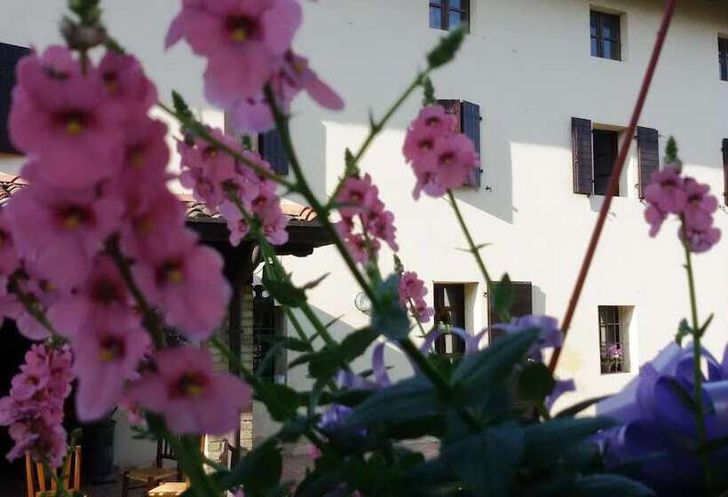 Bed and Breakfast Fiori Di Maggio