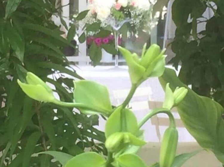 Femily B&b Bed And Breakfast Di Puglia In   Bari