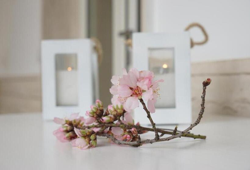 Femily B&b Bed And Breakfast Di Puglia In   Bari