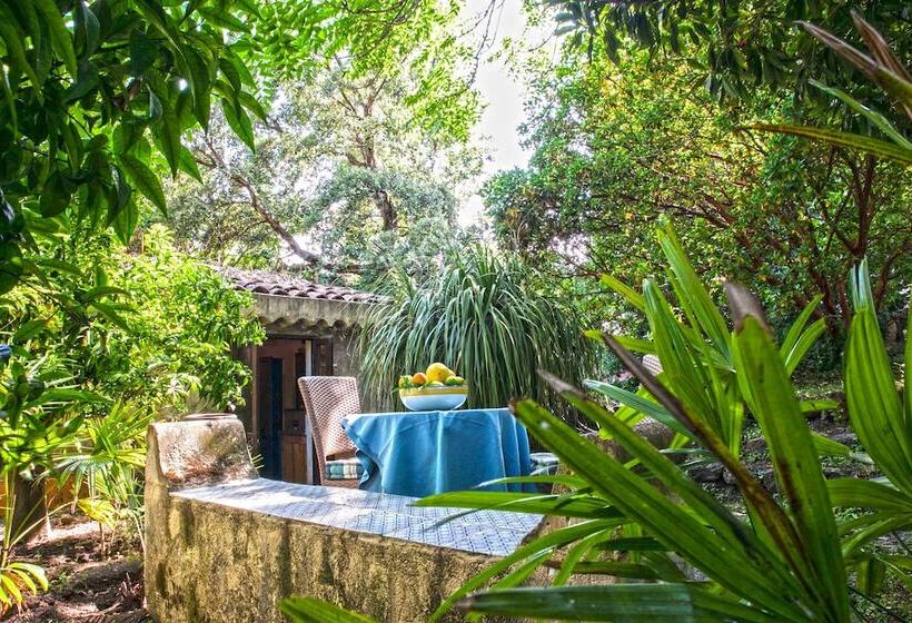 פנסיון Etna Botanic Garden