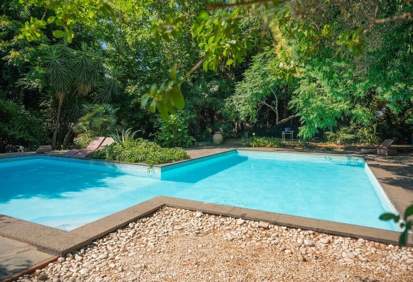 פנסיון Etna Botanic Garden