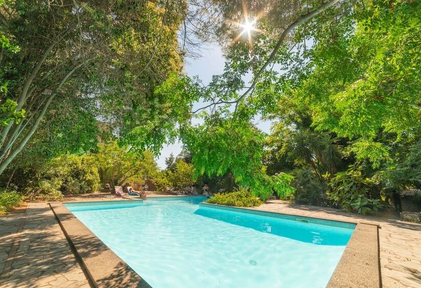 פנסיון Etna Botanic Garden