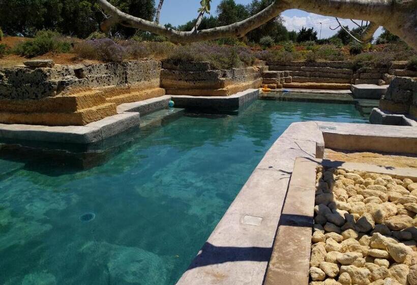 Bed and Breakfast Villa Delle Palme