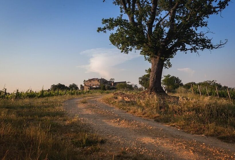 교외 호텔 Agriturismo Castello Di Bucignano
