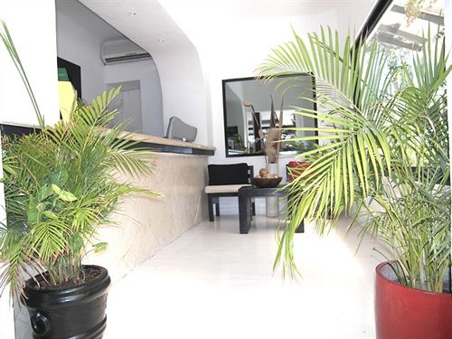 Fotos del hotel Partyholic:  13