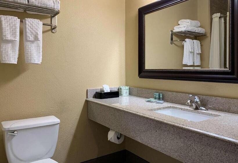 هتل Comfort Inn Saint Paul East