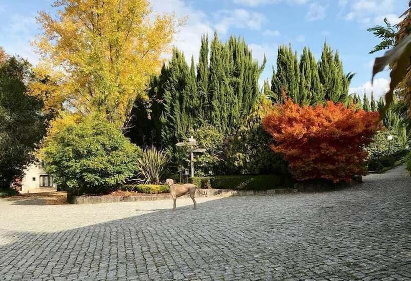 田舎風ホテル De Charme Quinta Do Pinheiro