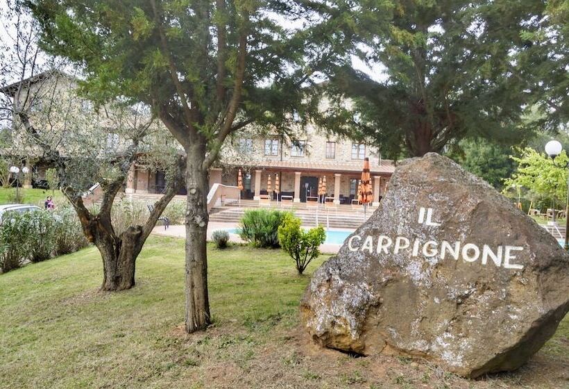住所 Il Carpignone
