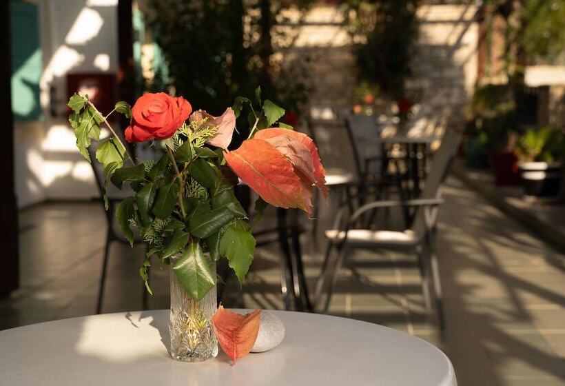 فندق Dimitris Villa