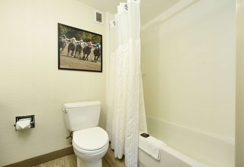 هتل Hilton Garden Inn Saratoga Springs