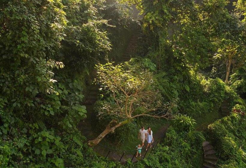 Maya Ubud Resort & Spa