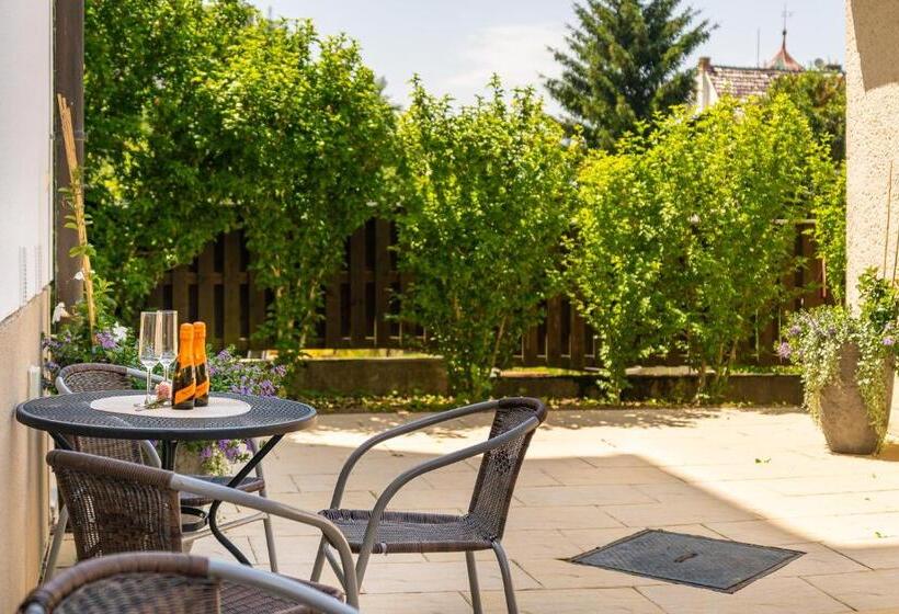 بنسيون Vila Jiřinka