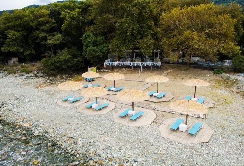 בית מלון כפרי Vlassis