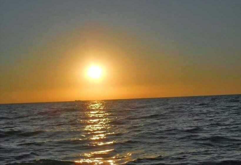 پانسیون Twins