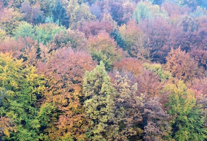 צימר Gästehaus Klopfer