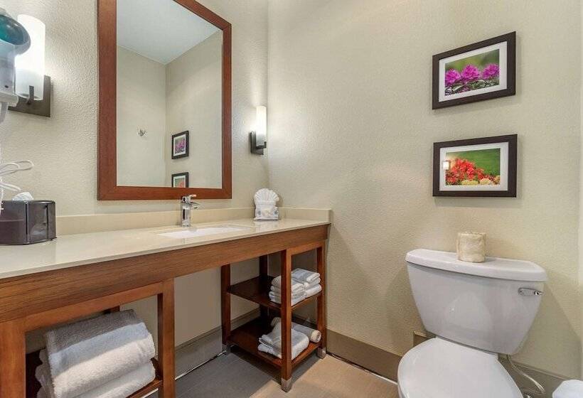هتل Comfort Inn & Suites Lakewood By Jblm