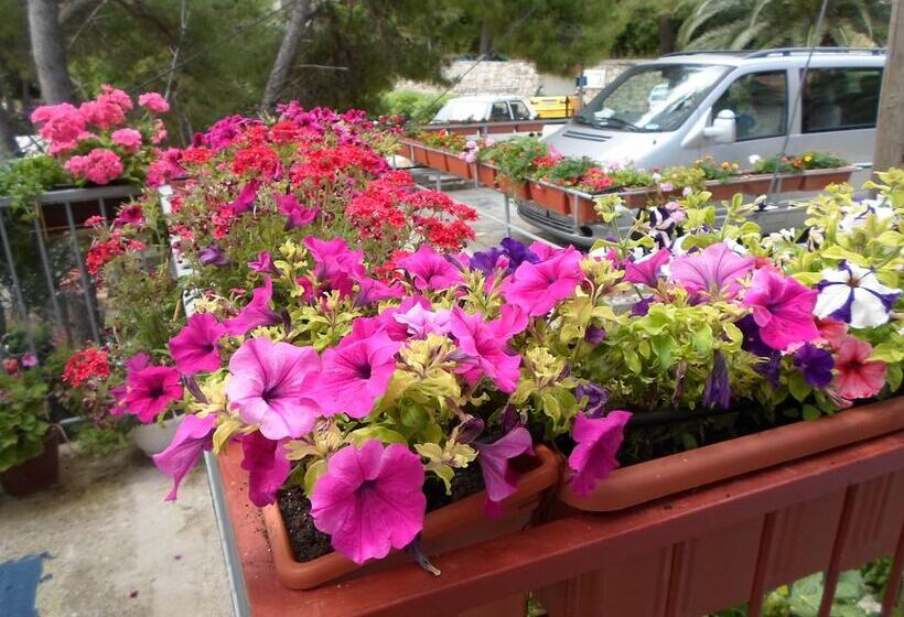 بنسيون Guesthouse Sobra