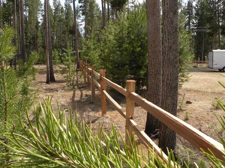 The Cozy Cabin Lapine