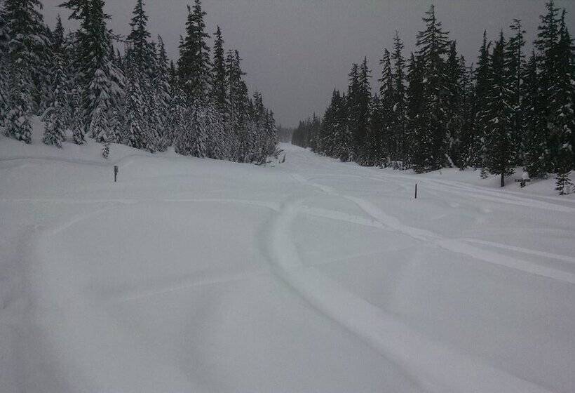 The Cozy Cabin Lapine