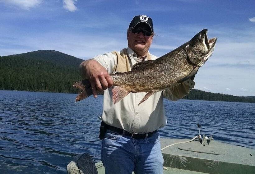 The Cozy Cabin Lapine