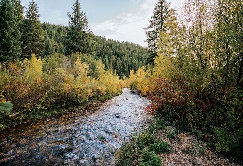 田舎風ホテル Moose Creek Ranch