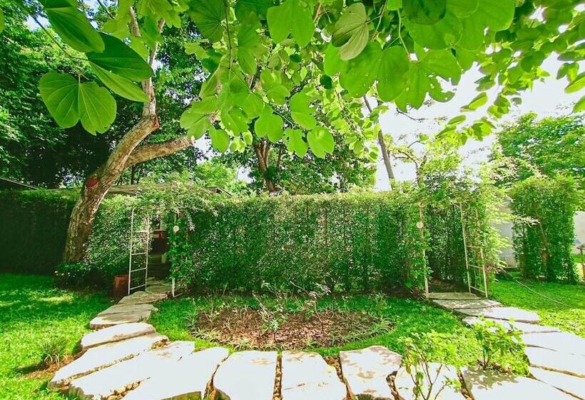 فندق Resort Huangchui Baan Phu Khao