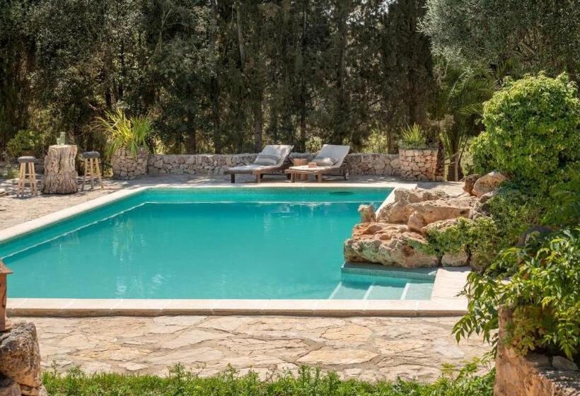 ホテル Agroturismo Son Fogueró   Adults Only