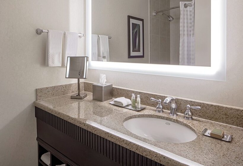 בית מלון כפרי Doubletree Suites By Hilton Minneapolis Downtown