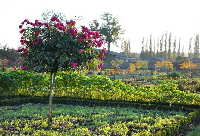 בית מלון כפרי La Chartreuse Du Val Saint Esprit