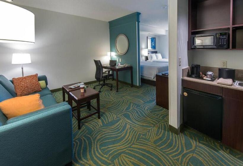 هتل Springhill Suites By Marriott Greensboro