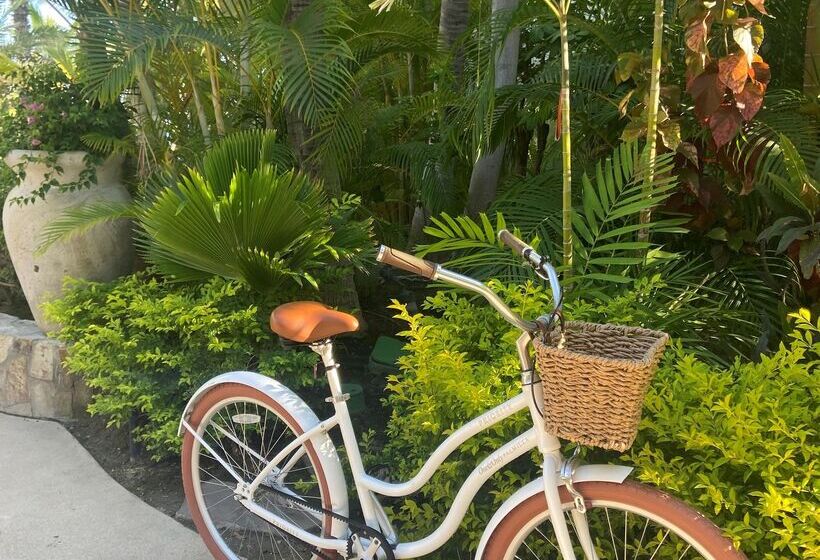 استراحتگاه One&only Palmilla
