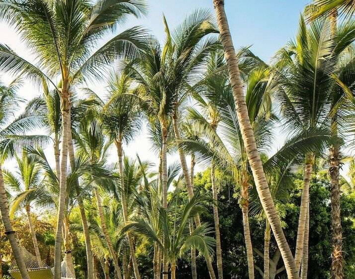 استراحتگاه One&only Palmilla