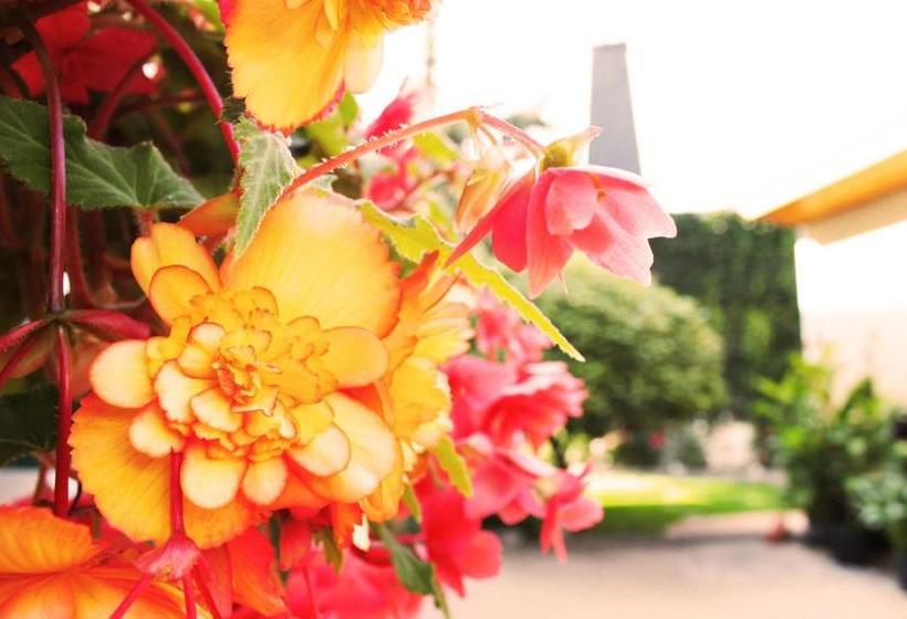 بنسيون Landgasthof Kanz