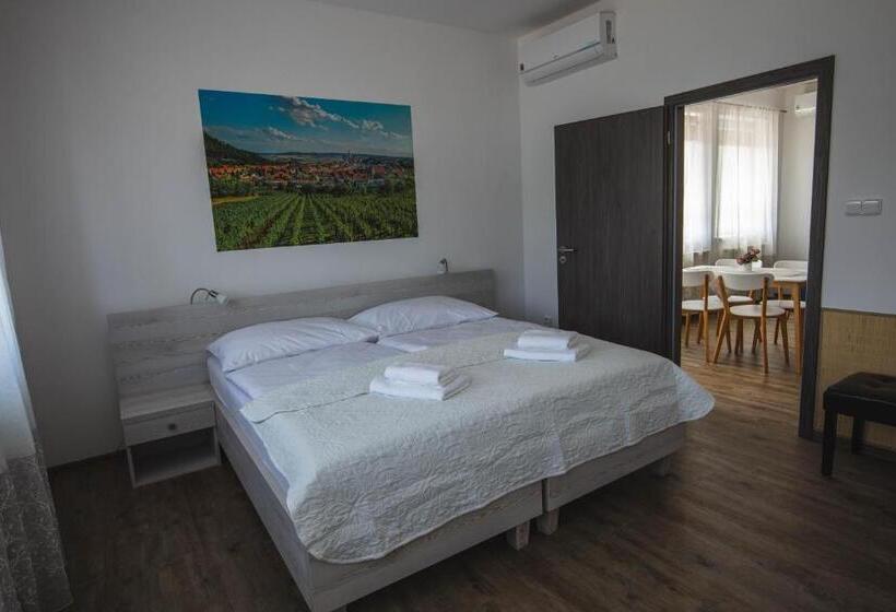 پانسیون Apartmány Pemag Mikulov