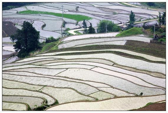 ホテル 7days Inn Shaoguan Lechang Darunfa