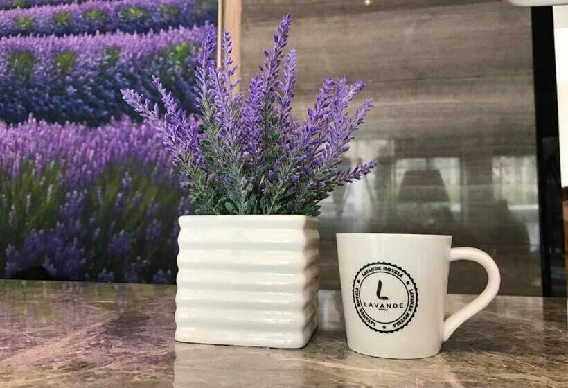 Lavande Hotel Qingyuan Fogang