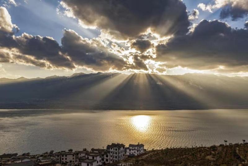 پانسیون 1979 Treeinn