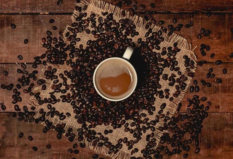 هاستل Griya Tembi