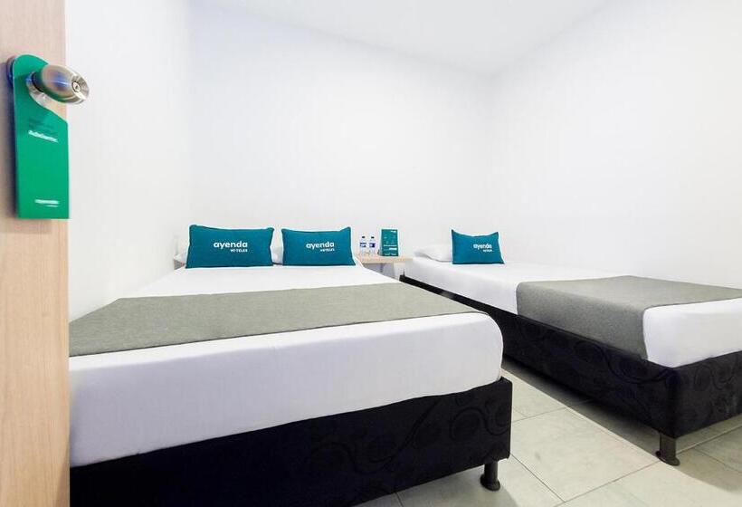 هتل Ayenda Panamericana