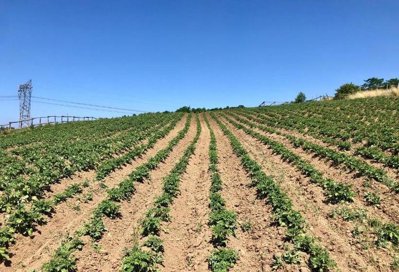 بنسيون Collina Blu