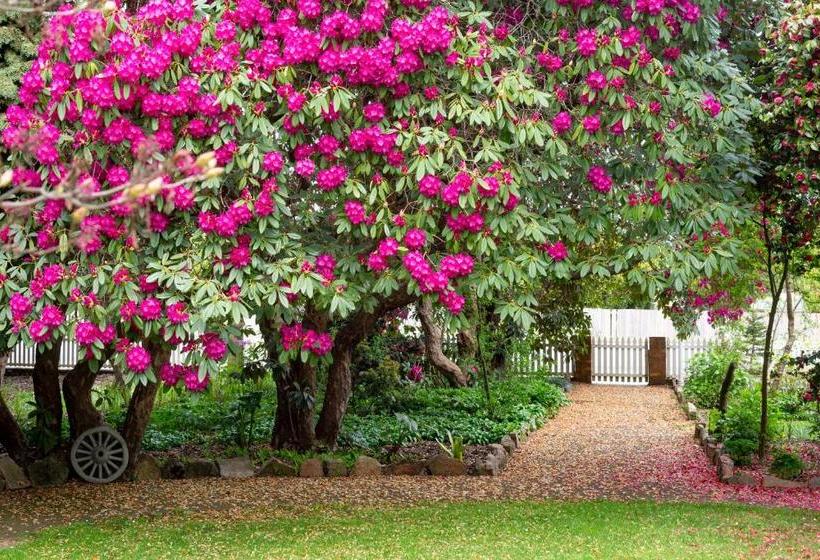 فندق على الطريق Anabel's Of Scottsdale