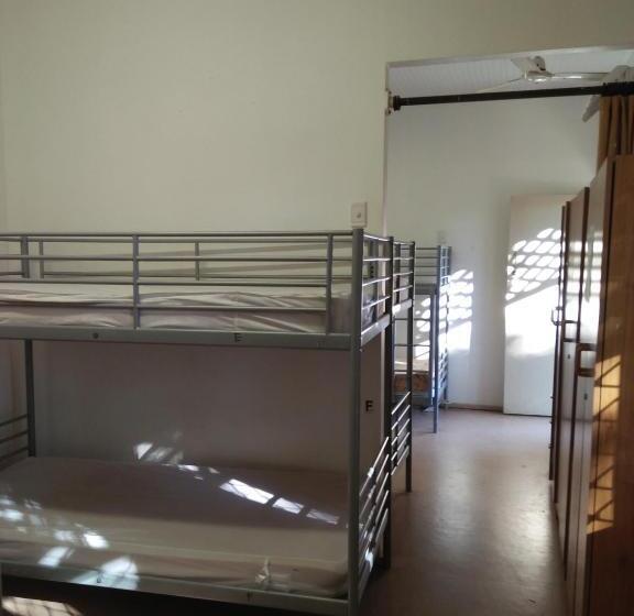 הוסטל Roey Backpackers And Party Bar