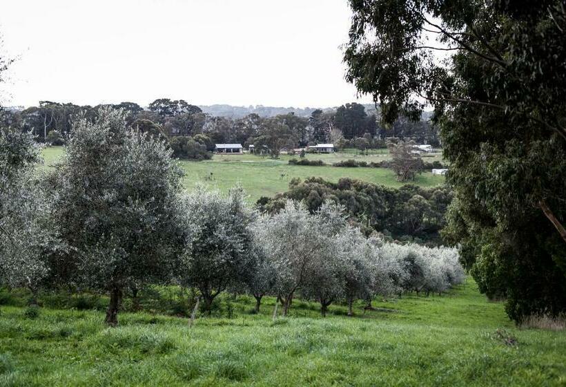 住宿加早餐  Hart's Farm