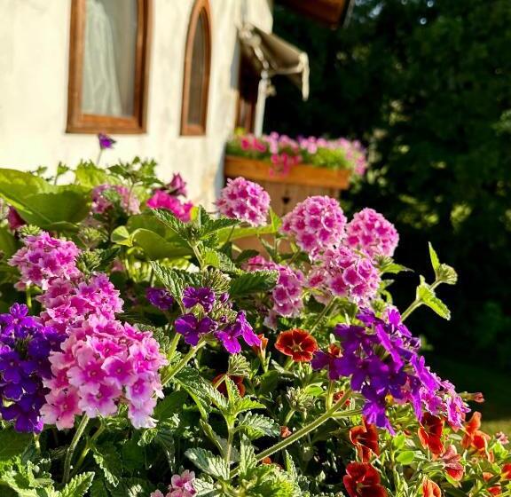پانسیون Abendblume