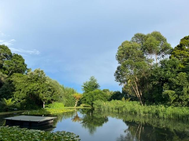 بنسيون Westfield Farm