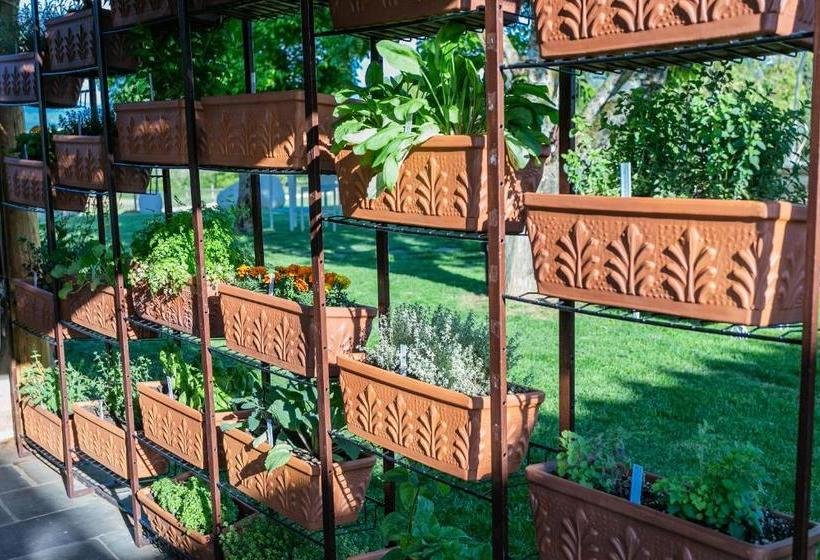 Курорт Tenuta Le Tre Virtù